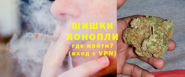 стафф Корсаков