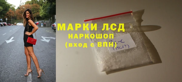 гашик Козловка