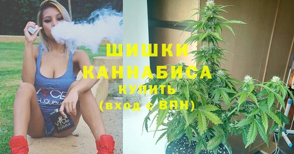 spice Кодинск