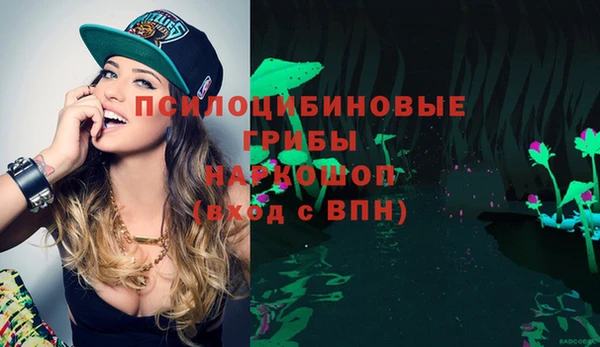 стафф Корсаков
