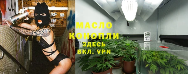 гашик Козловка