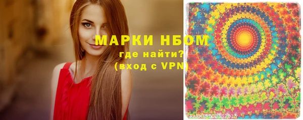 гашик Козловка