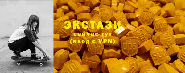 гашик Козловка