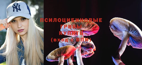 spice Кодинск