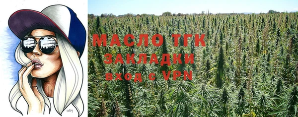 гашик Козловка