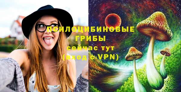 стафф Корсаков