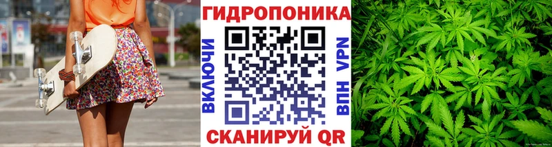 Канабис Amnesia  Кувшиново 